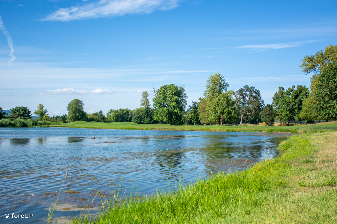 Trysting Tree Golf Club Corvallis Oregon ForeUP